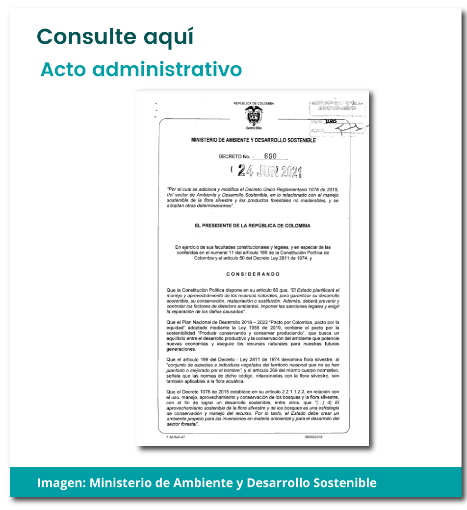 descargar el acto administrativo