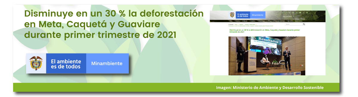 Disminuye en un 30 % la deforestación en Meta, Caquetá y Guaviare durante primer trimestre de 2021 Disminuye en un 30 % la deforestación en Meta, Caquetá y Guaviare durante primer trimestre de 2021