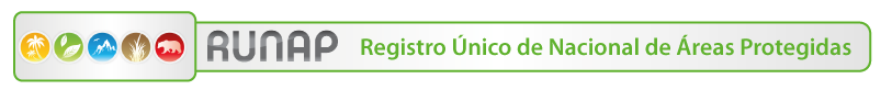 RUNAP TITUTLO