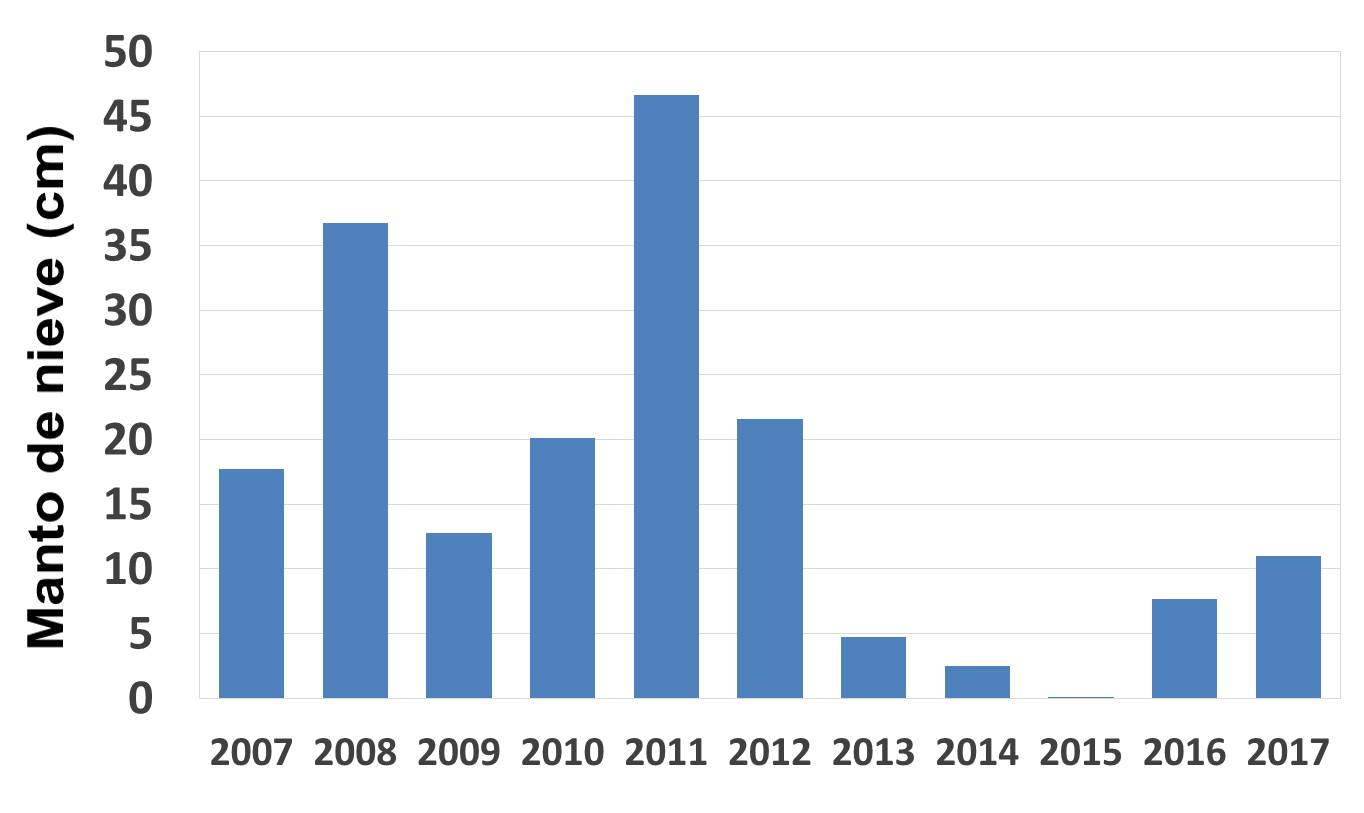 Manto de nieve Conejeras